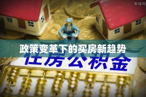 白沙政策变革下的买房新趋势
