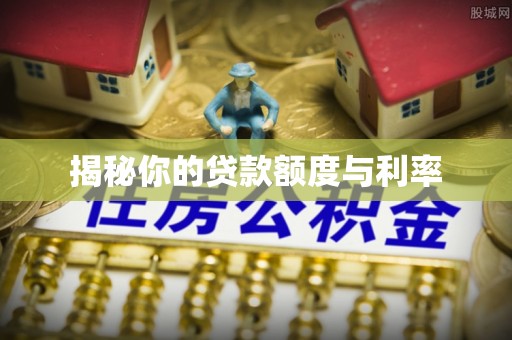 白沙揭秘你的贷款额度与利率