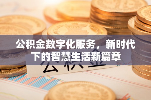 白沙公积金数字化服务，新时代下的智慧生活新篇章