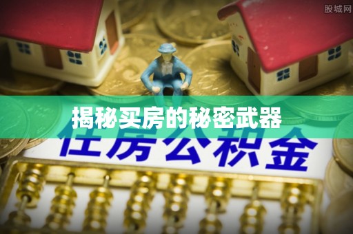 白沙揭秘买房的秘密武器