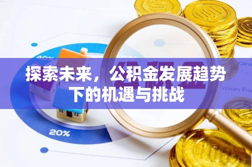 白沙探索未来，公积金发展趋势下的机遇与挑战