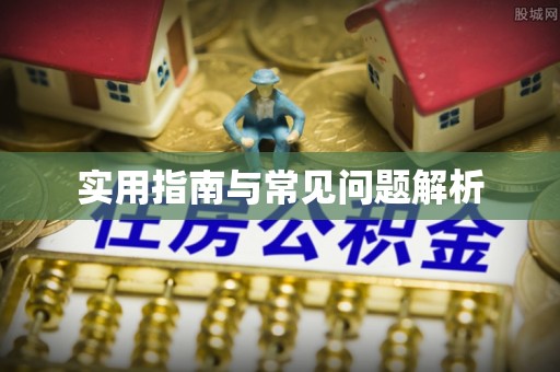 白沙实用指南与常见问题解析