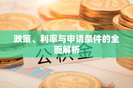 白沙政策、利率与申请条件的全面解析