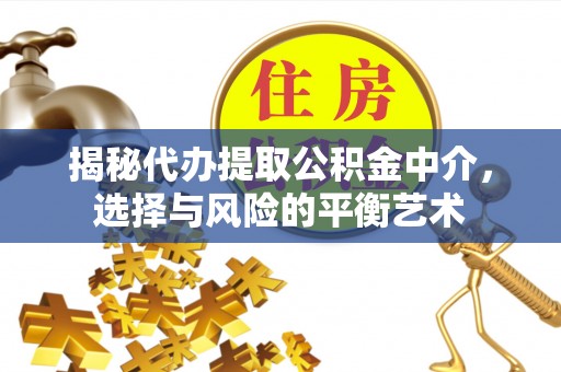 白沙揭秘代办提取公积金中介，选择与风险的平衡艺术