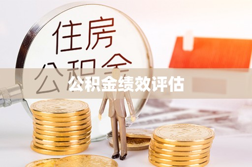 白沙公积金绩效评估