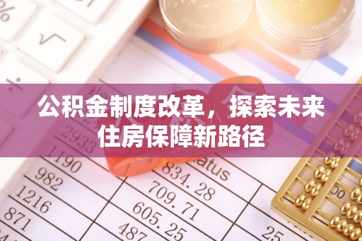 白沙公积金制度改革，探索未来住房保障新路径