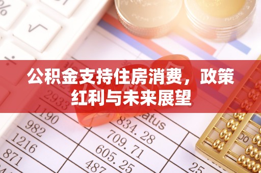 白沙公积金支持住房消费，政策红利与未来展望