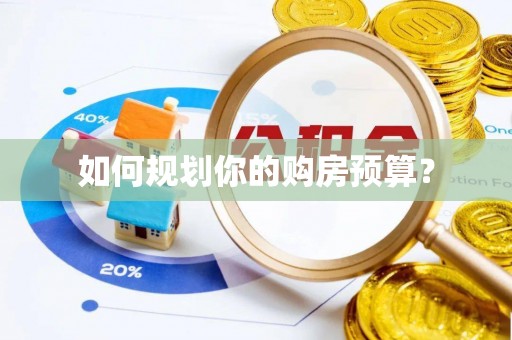 白沙如何规划你的购房预算？