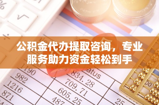 白沙公积金代办提取咨询，专业服务助力资金轻松到手