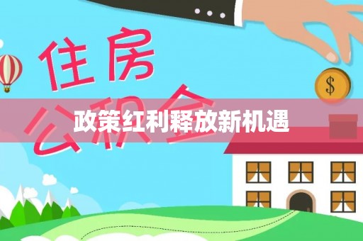 白沙政策红利释放新机遇