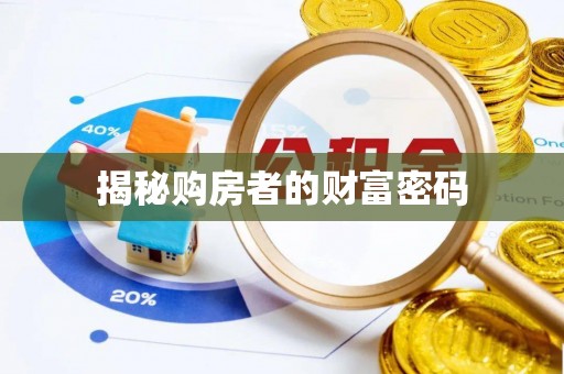 白沙揭秘购房者的财富密码
