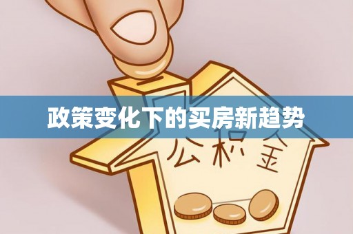 白沙政策变化下的买房新趋势