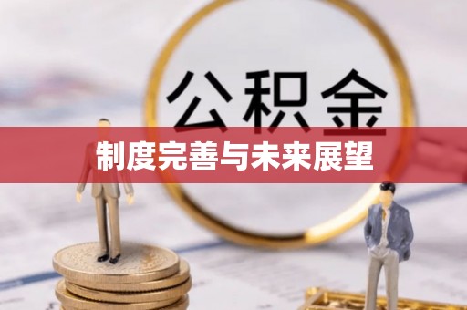 白沙制度完善与未来展望