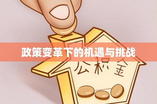 白沙政策变革下的机遇与挑战