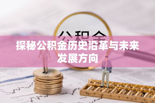 白沙探秘公积金历史沿革与未来发展方向
