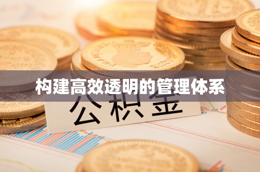 白沙构建高效透明的管理体系