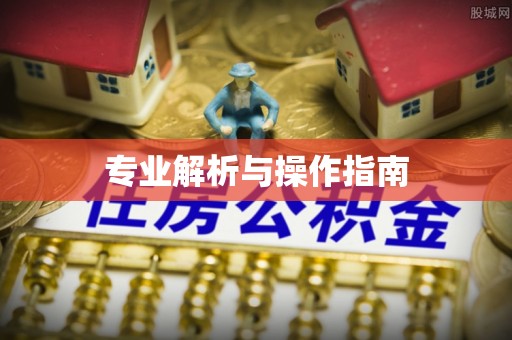 白沙专业解析与操作指南