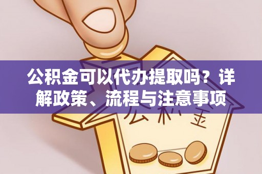 白沙公积金可以代办提取吗？详解政策、流程与注意事项