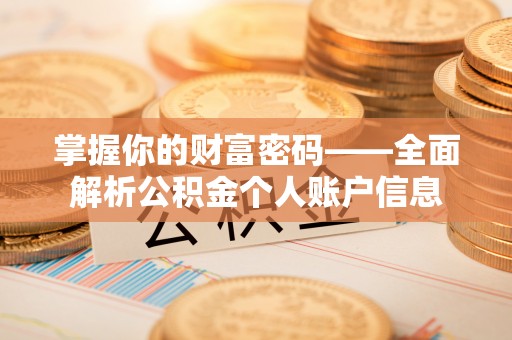 白沙掌握你的财富密码——全面解析公积金个人账户信息