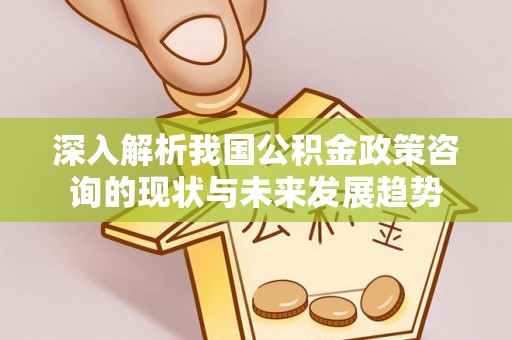 白沙深入解析我国公积金政策咨询的现状与未来发展趋势