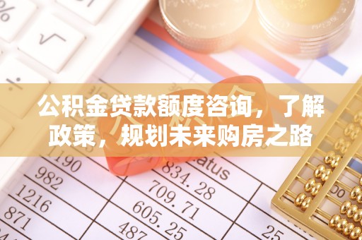 白沙公积金贷款额度咨询，了解政策，规划未来购房之路