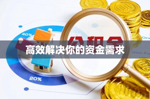 白沙高效解决你的资金需求