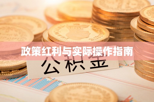 白沙政策红利与实际操作指南