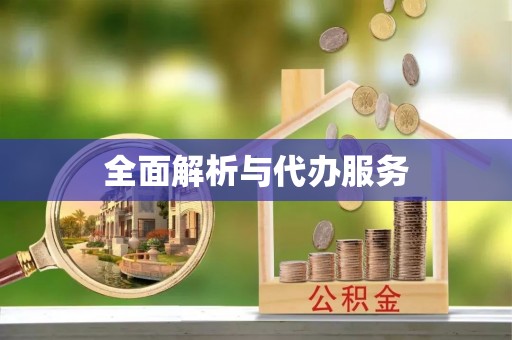 白沙全面解析与代办服务