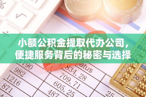 白沙小额公积金提取代办公司，便捷服务背后的秘密与选择指南