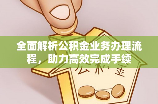 白沙全面解析公积金业务办理流程，助力高效完成手续