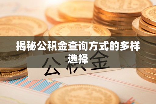 白沙揭秘公积金查询方式的多样选择