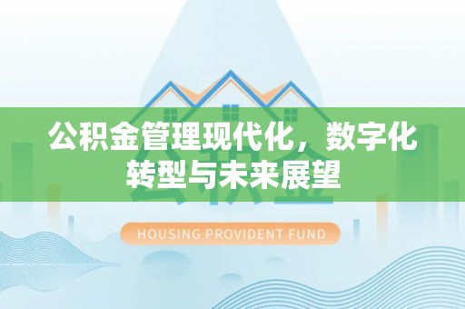 白沙公积金管理现代化，数字化转型与未来展望