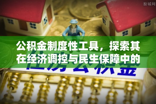 白沙公积金制度性工具，探索其在经济调控与民生保障中的重要作用