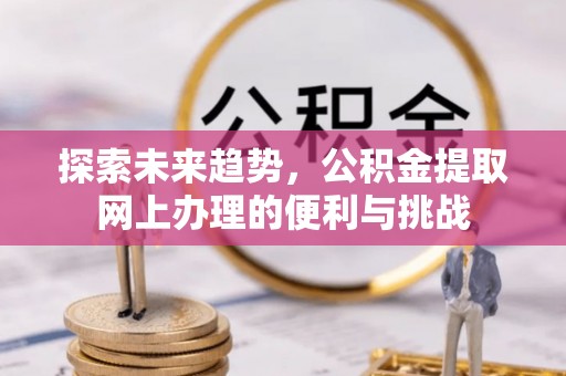 白沙探索未来趋势，公积金提取网上办理的便利与挑战