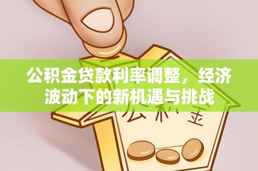 白沙公积金贷款利率调整，经济波动下的新机遇与挑战