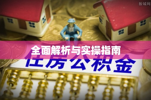 白沙全面解析与实操指南