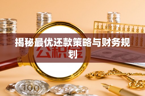 白沙揭秘最优还款策略与财务规划