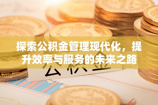 白沙探索公积金管理现代化，提升效率与服务的未来之路