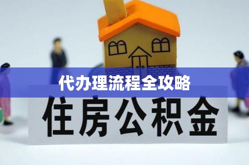白沙代办理流程全攻略
