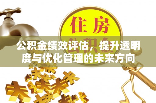 白沙公积金绩效评估，提升透明度与优化管理的未来方向