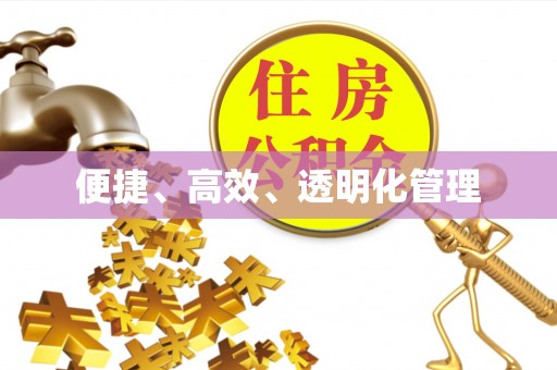 白沙便捷、高效、透明化管理