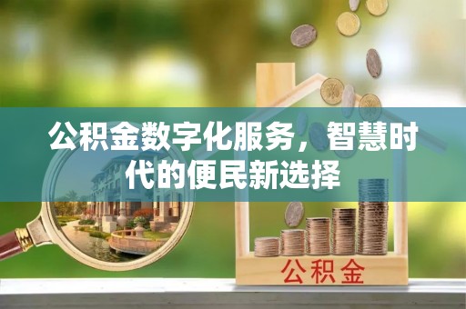 白沙公积金数字化服务，智慧时代的便民新选择