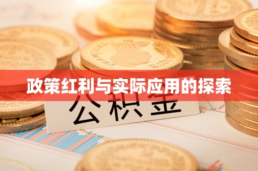 白沙政策红利与实际应用的探索