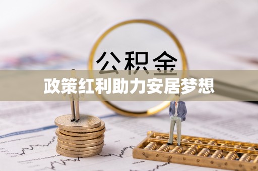 白沙政策红利助力安居梦想