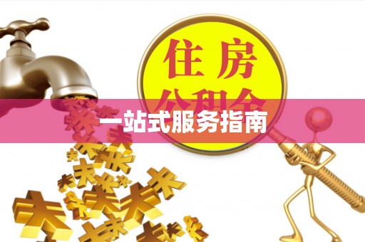 白沙一站式服务指南
