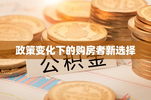 白沙政策变化下的购房者新选择