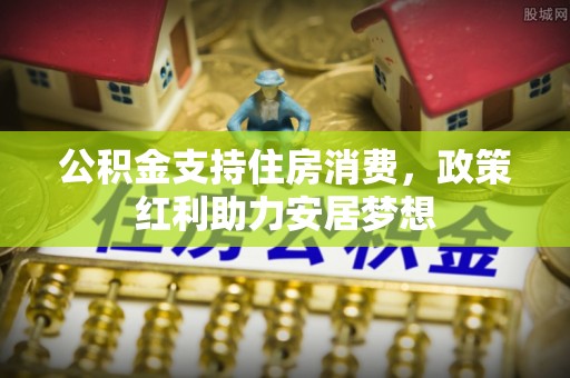 白沙公积金支持住房消费，政策红利助力安居梦想