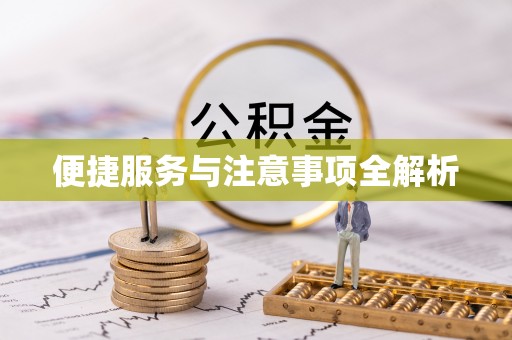 白沙便捷服务与注意事项全解析