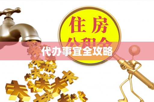 白沙代办事宜全攻略