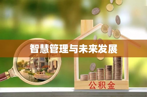 白沙智慧管理与未来发展